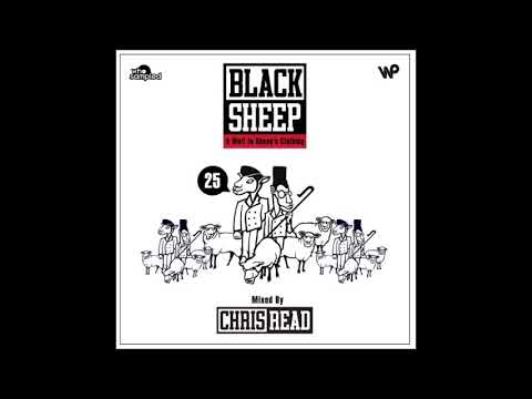 Black Sheep - A Wolf In Sheep's Clothing - 25th Anniversary Mixtape