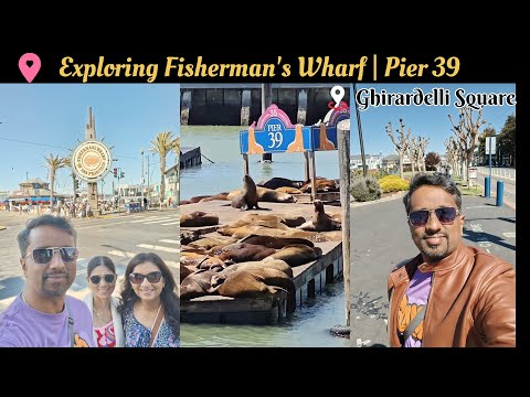 Exploring Fisherman's Wharf | Pier 39 | Ghirardelli Square | Califonia Sea Lions | Chocolate Sundae