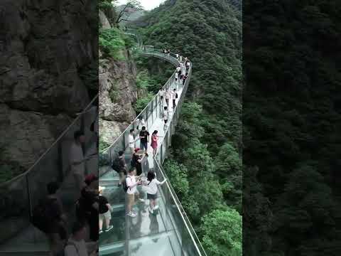 Tourists Brave This Crazy Glass Skywalk!  #shorts #skywalk #glass #road #roadtrip #newroads