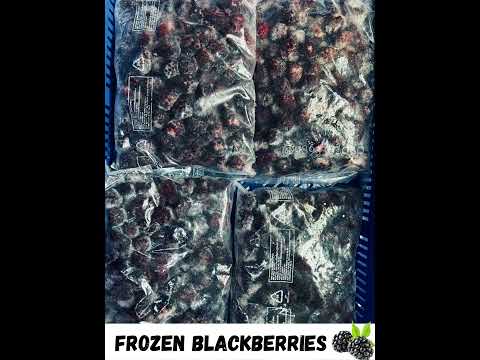 Natural Iqf Blackberry Frozen Fruit, Packaging Size: 1 Kg, Packaging Type: Packet
