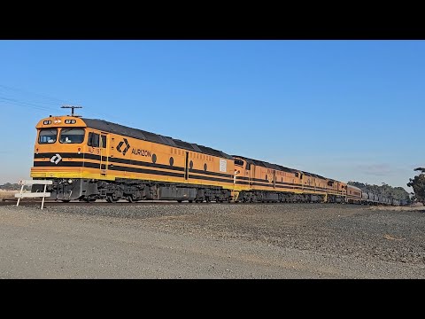 3AK1 Aurizon empty grain (ALF, CLF, CLP, GWA), Dry Creek to Murtoa, 0920, 21/5/25, Murtoa VIC