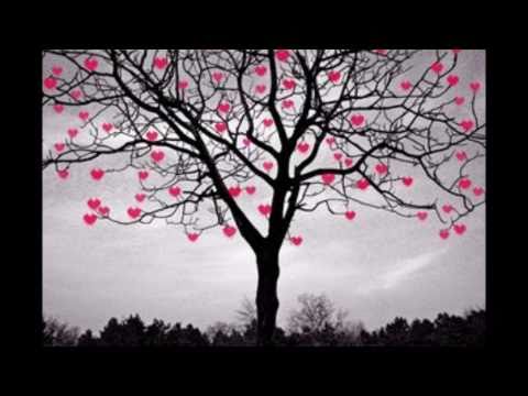 Harry  KayOh - Liebee zur Musik