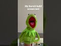 My Custom Kermit Puppet Screen Test
