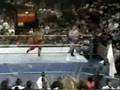 Yokozuna Vs Hacksaw Jim Duggan Raw Moment