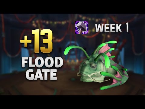 +13 Floodgate Ret paladin POV