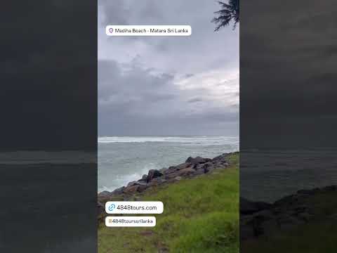 Madiha Beach 🇱🇰 🛩🛥⛱🌴🐋🐘🐆🏄