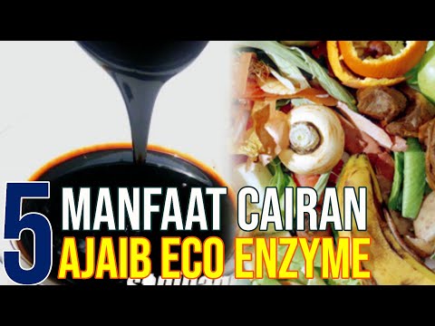 Cara Memanfaatkan Eco Enzyme Dengan Bantuan Molasses Tetes Tebu