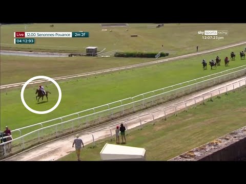 RIDICULOUS! One of the easiest winners you'll ever see!