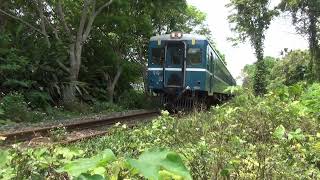 台鐵柴油藍皮客車(藍寶寶)試運轉 竹東 橫山段通過 0408 2025