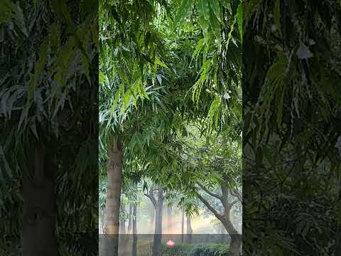 ❤️soorma❤️💓😍 #trending #song