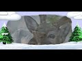 Animal Time Ep 17