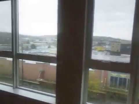 AVA Ballard! Apt 631 - 476SF Studio - AVA Style