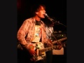 jeffrey lewis ~ securicor crass cover