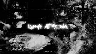 Cover art for FLUXUISTA