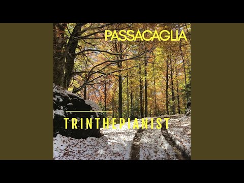 Suite No. 7 in G Minor, HWV 432/6: VI. Passacaglia