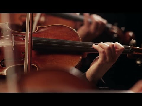 Concertul de Anul Nou de la Viena 2020, în direct la TVR1