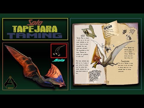 Ark Survival Evolved - Tapejara Taming Tutorial