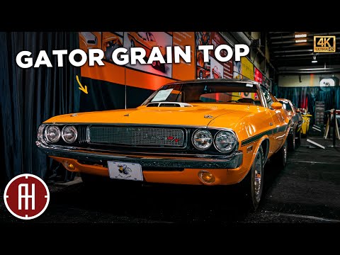 Gator Grain 1970 Dodge Challenger
