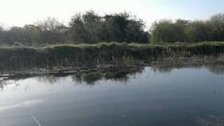 Monasterevin  Co.Kildare Ireland