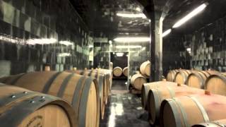 preview picture of video 'Alto Adige - Viaggio nella Cantina San Michele Appiano'