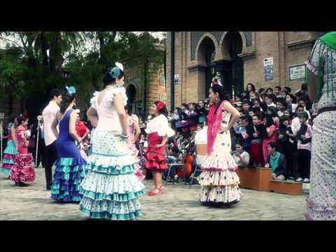 Vídeo Colegio Ortiz De Zúñiga