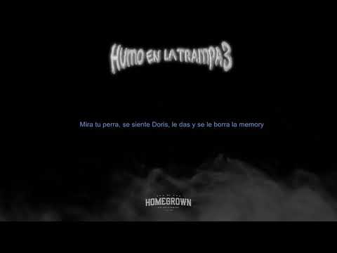 Aleman - Así No Más (Video Lyric)