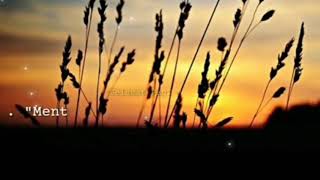 Download lagu Story' WA Keren - Good Morning, Selamat Pagi mp3