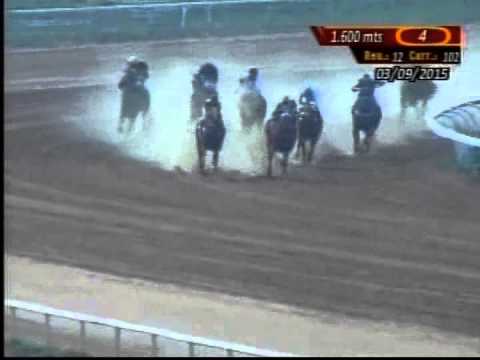 Resumen Jueves, 03 de Septiembre de 2015 - Santa Rita