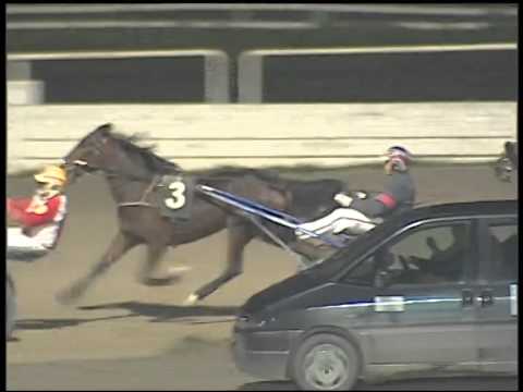 Trotto 13/01/2015 - 6° corsa