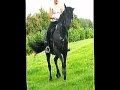 Unbreakable Horse ;) 