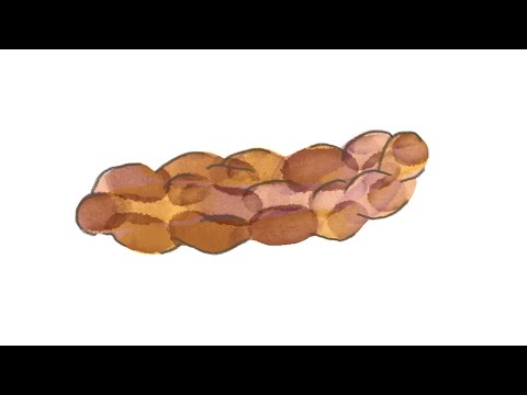 What Your Poop Says About You