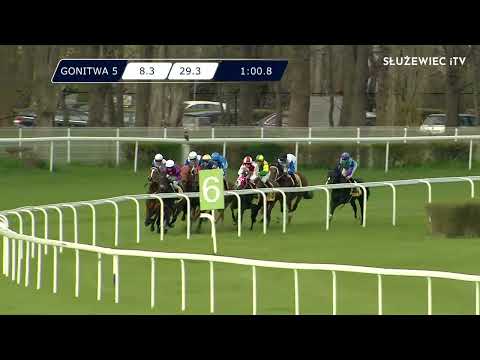 Nagroda Strzegomia (Specjalna) - (kat.B)  24.04.2022 (Dzień 1; Gonitwa 5)