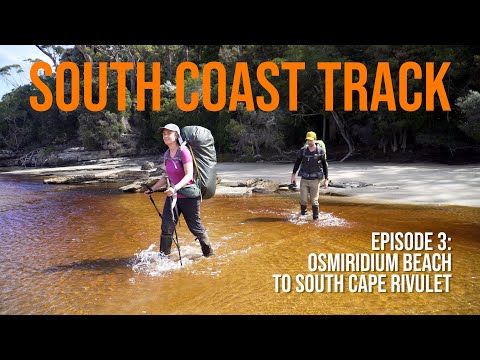 South Coast Track (Tasmania) - Episode 3: Osmiridium Beach to South Cape Rivulet