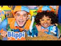 Can Blippi Mael Find All The Dino Eggs At The Pet Playground Blippi S Ultimate Playdates