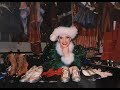 Christmas Stories A Rockettes First Performance