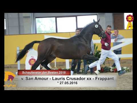 23. San Amour - Lauris Crusador xx