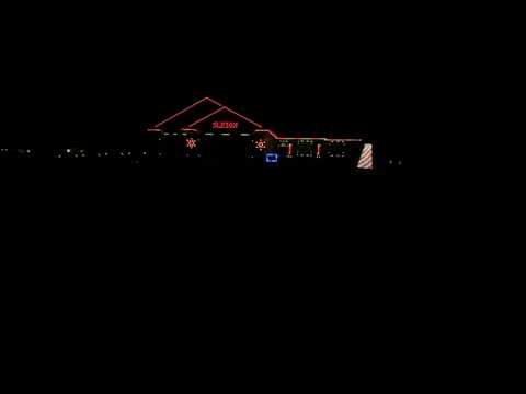 Reggie the Christmas Hamster  - 2021 Benesh Lights on Georgetown