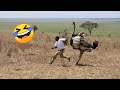 TRY NOT TO LAUGH Best Funny Videos Compilation Memes PART 244