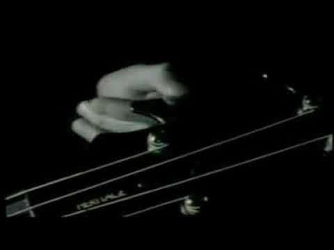 Hipnotizados video