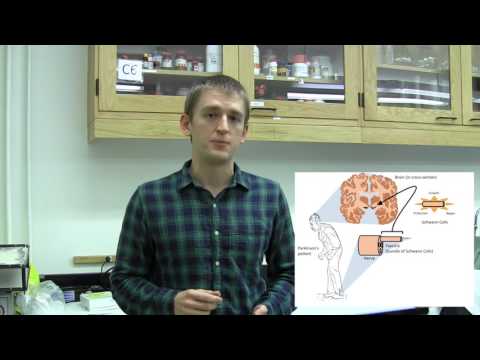 Three Minute Thesis 2016 - Andrew Welleford