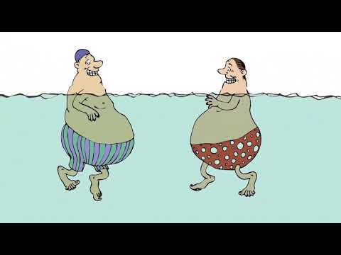 Das Eisbergmodell und der Konfliktschmetterling V02