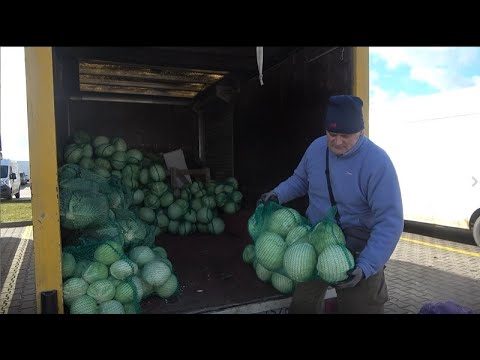 Bronisze 17.02.2022. Mocno zdrożały pomidory i ogórki. Ile kosztują pozostałe warzywa?