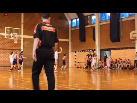 Kup Korac ART BASKET vs Radivoj Korac_maj 2016