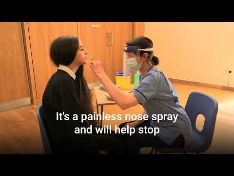 Child Flu Vaccine - Primary and Secondary Schools