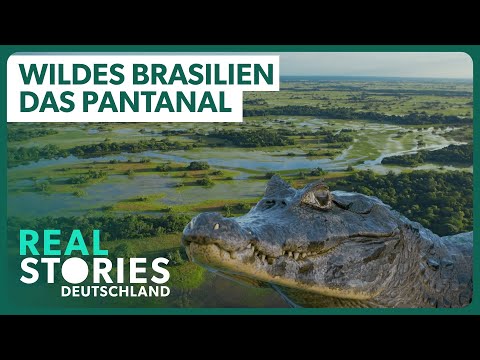 Überleben im größten Feuchtgebiet der Welt | Doku