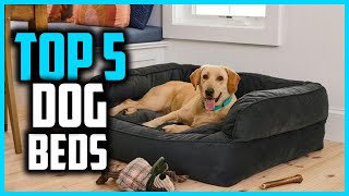 ✅ Looking for the BEST Dog Beds in 2026
