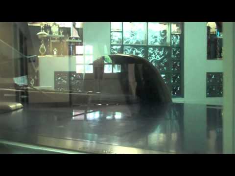 SFPD NS 111413 Followup PR#130499597 and Illegal 5150 ( Filing of Police Report )