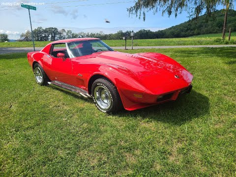 1976 Chevrolet Corvette (CC-1526007) for sale in martinsburg, Pennsylvania