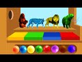 Pelajari warna dengan hewan: Gorila, Harimau, Singa, Beruang