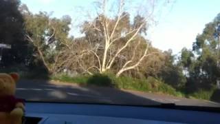 MANTICORA: "Filaments Of Armageddon".